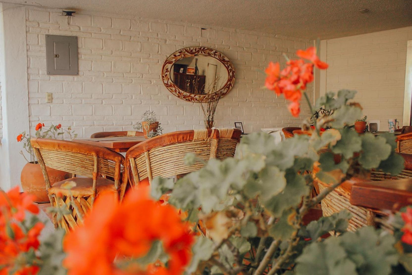 Hotel Ilebal Cuernavaca Centro - Lugar Con Encanto! Dış mekan fotoğraf