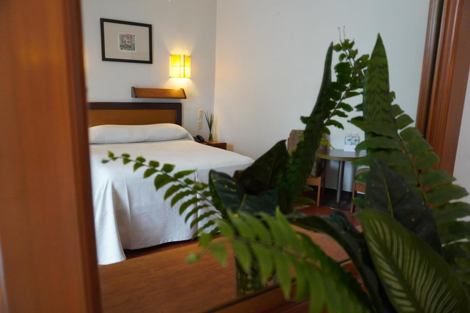 Hotel Ilebal Cuernavaca Centro - Lugar Con Encanto! Dış mekan fotoğraf