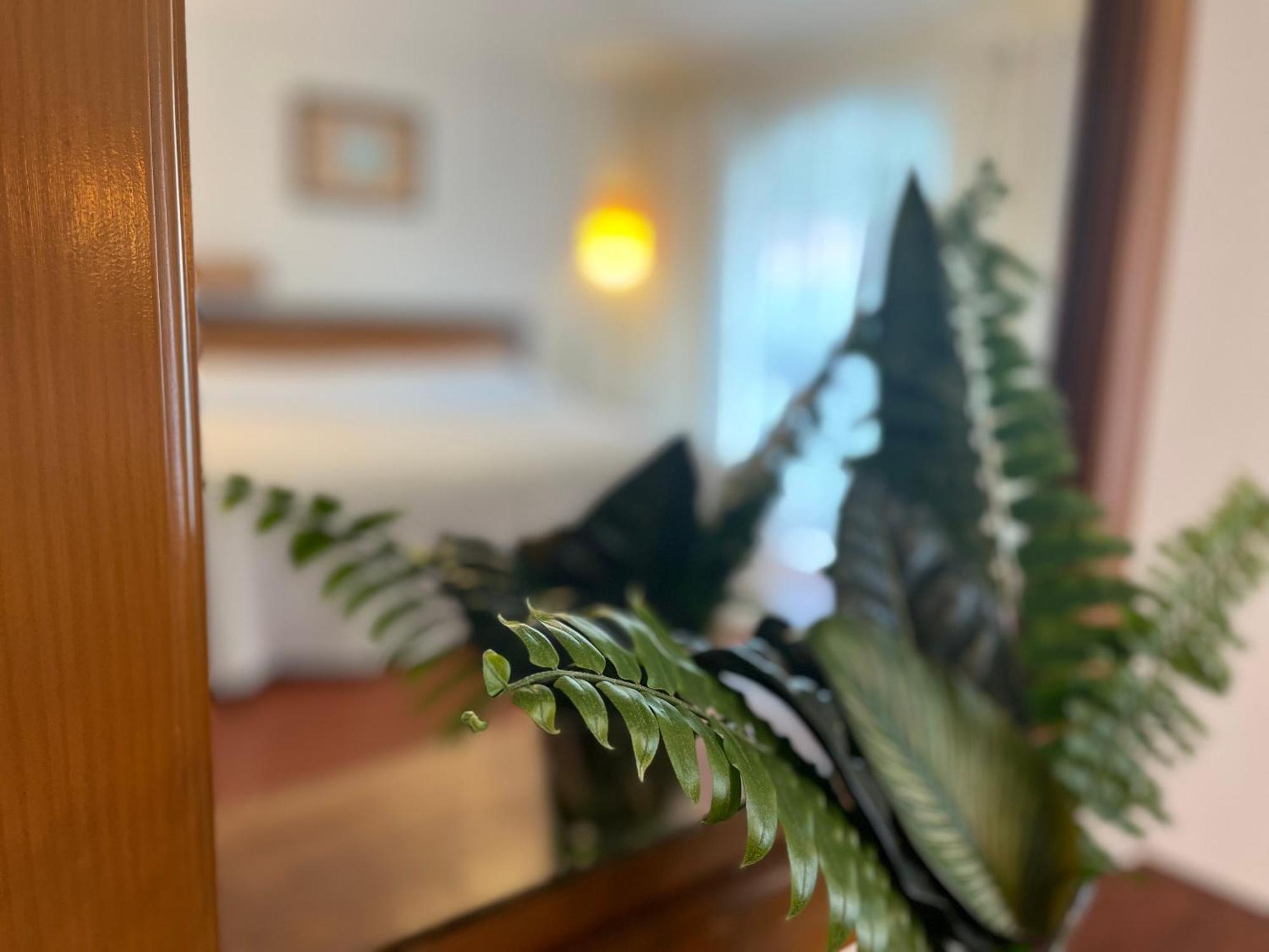 Hotel Ilebal Cuernavaca Centro - Lugar Con Encanto! Dış mekan fotoğraf