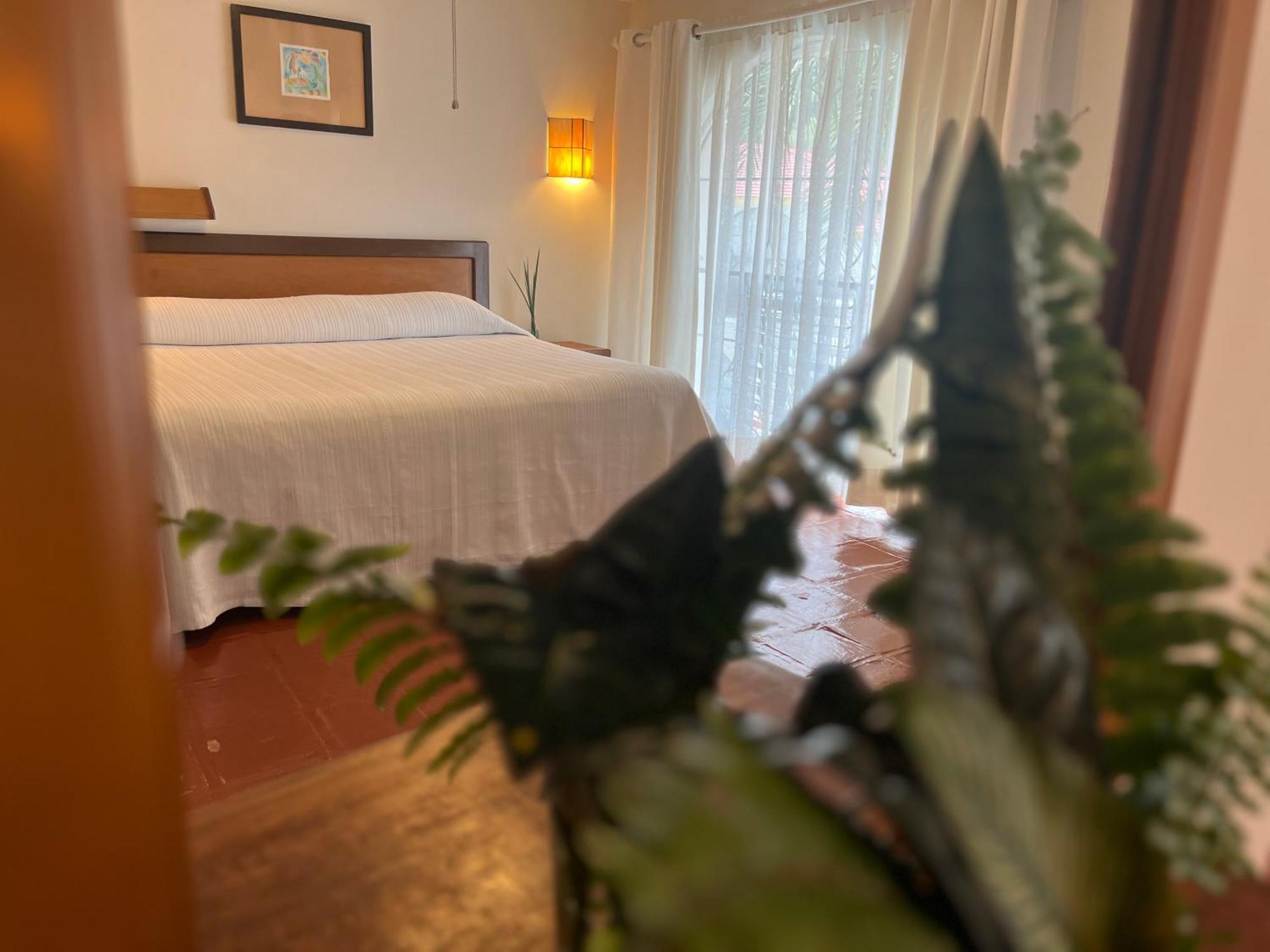 Hotel Ilebal Cuernavaca Centro - Lugar Con Encanto! Dış mekan fotoğraf