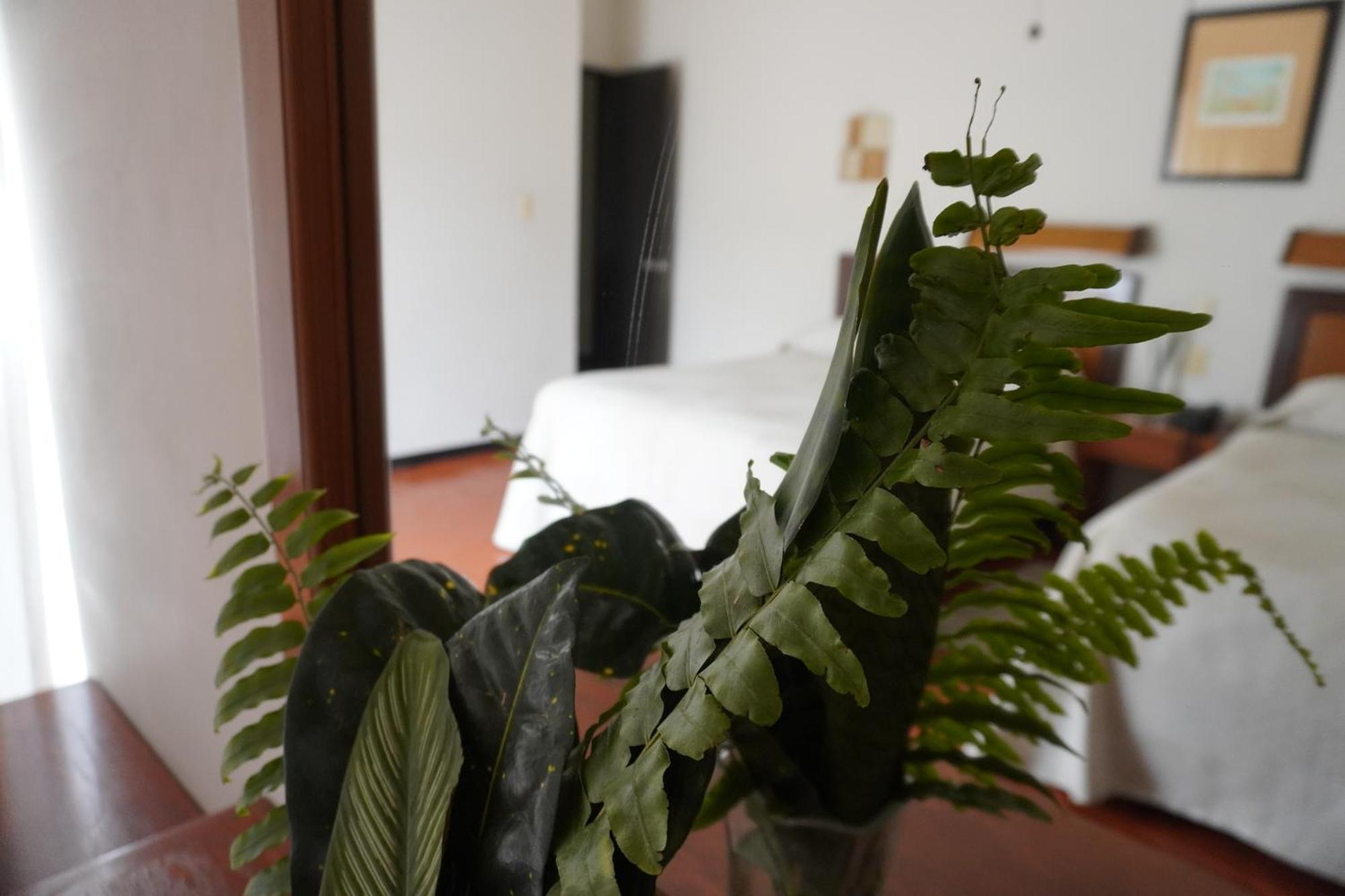 Hotel Ilebal Cuernavaca Centro - Lugar Con Encanto! Dış mekan fotoğraf