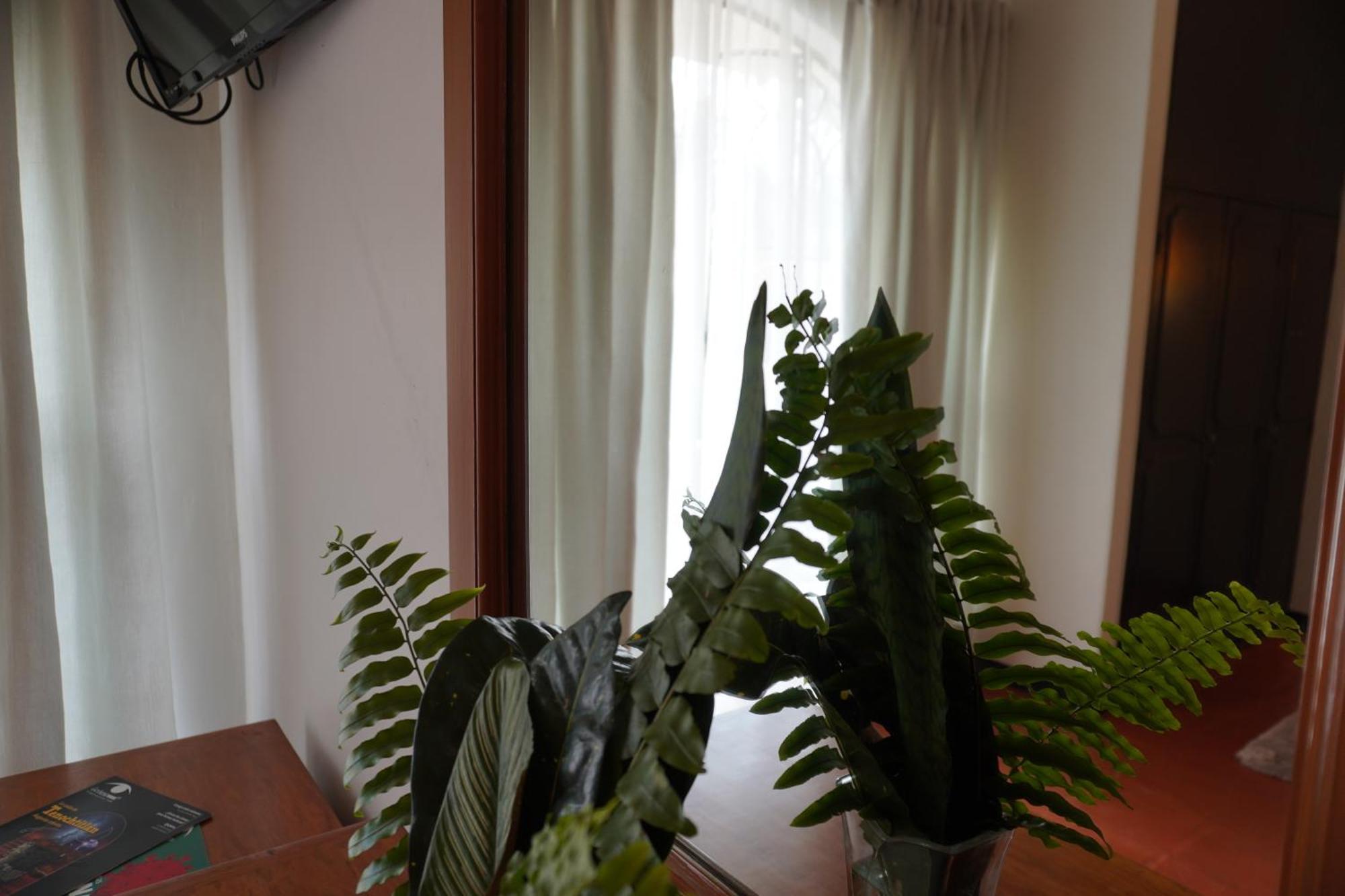 Hotel Ilebal Cuernavaca Centro - Lugar Con Encanto! Dış mekan fotoğraf